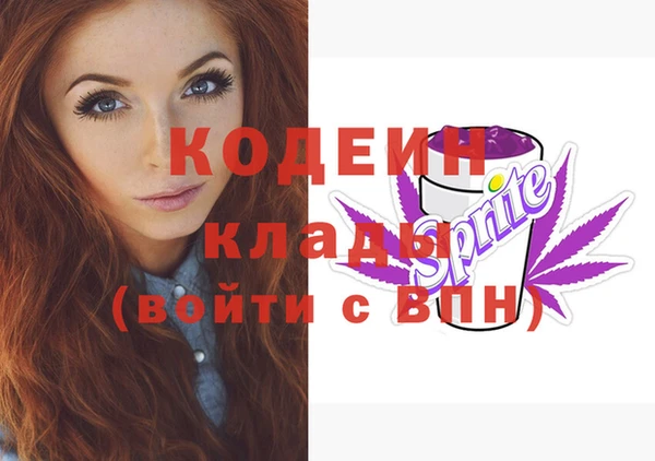 СК Каменка