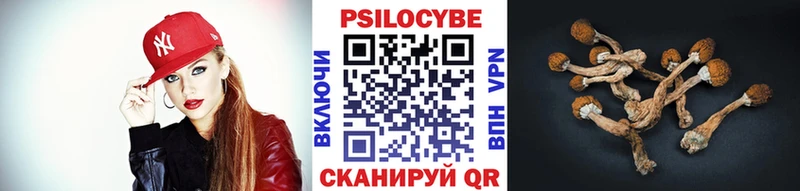 Галлюциногенные грибы прущие грибы Купить Ирбит